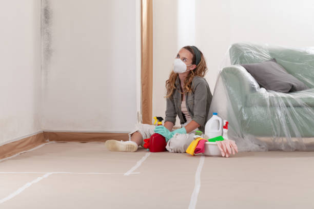 Reliable Mold Testing contractor in Aberdeen, NC by WQB Mold Removal