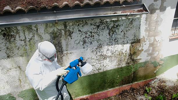 Top rated local Mold Testing specialists in Aberdeen, NC